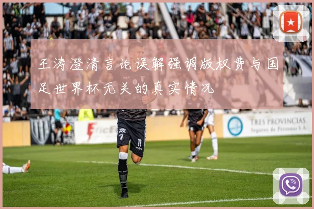 王涛澄清言论误解强调版权费与国足世界杯无关的真实情况
